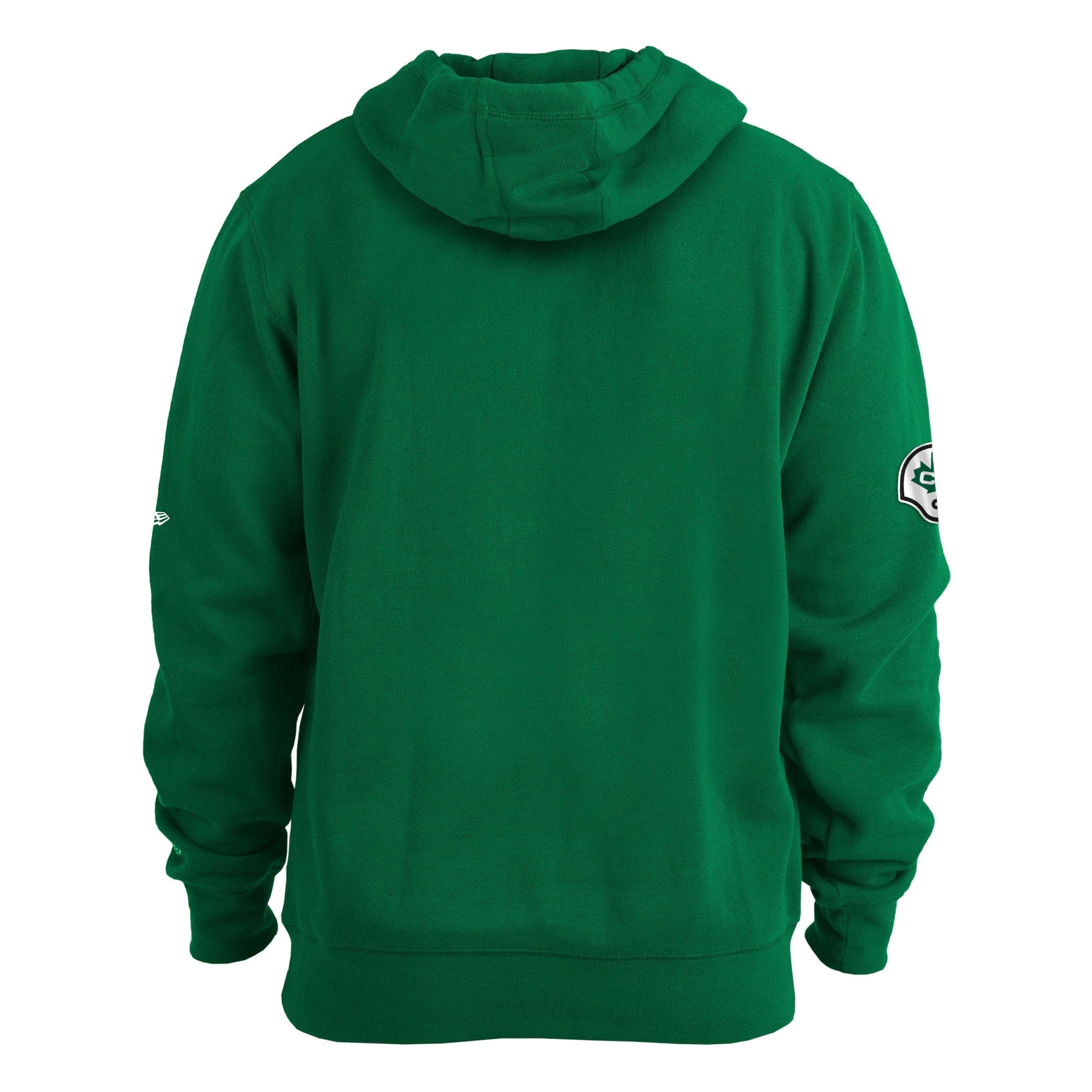 Saskatchewan Roughriders CFL New Era Men's Green Turf Traditions Pullover Hoodie