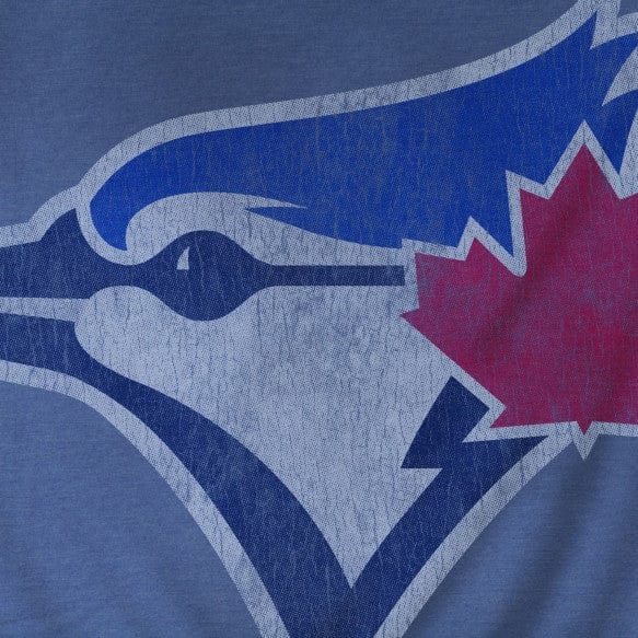 Montreal Expos MLB Bulletin Men's Light Blue Distressed Logo Heathered T-Shirt XXL
