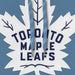 Toronto Maple Leafs NHL Bulletin Men's Light Blue Express Twill Logo Hoodie