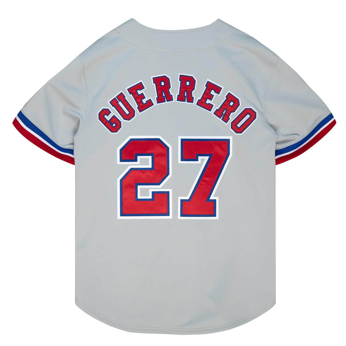 MLB Montreal Expos Men's Mitchell and Ness 2002 Authentic Mesh BP Vladimir  Guerrero #27 Jersey Royal - The Locker Room of Downey