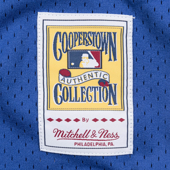 Men's Montreal Expos Pedro Martinez Mitchell & Ness Blue Cooperstown  Collection Mesh Batting Practice Button-Up Jersey